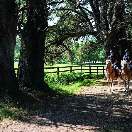 The Dunloe & Gardens 5* Beaufort