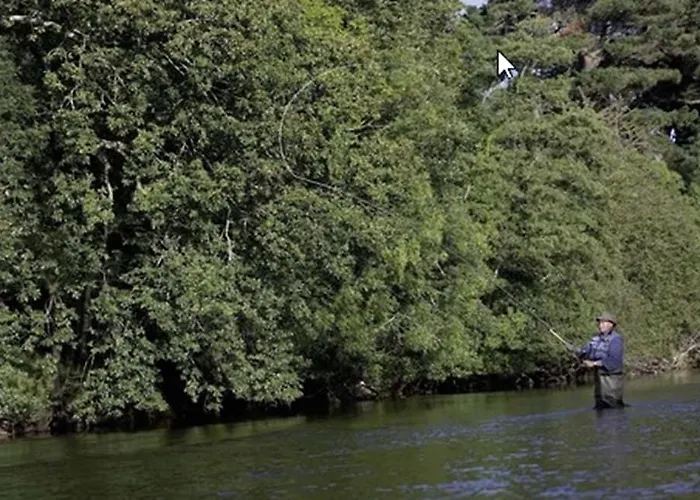 The Dunloe & Gardens Бофорт