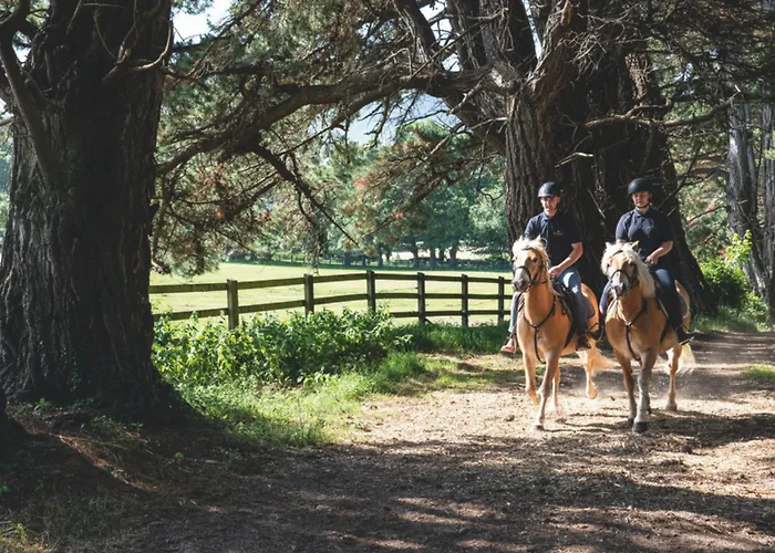The Dunloe & Gardens 5* Beaufort
