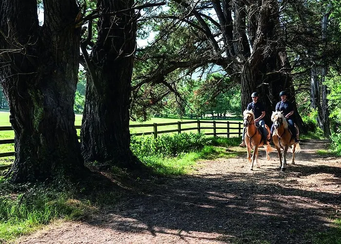 The Dunloe & Gardens 5* Бофорт