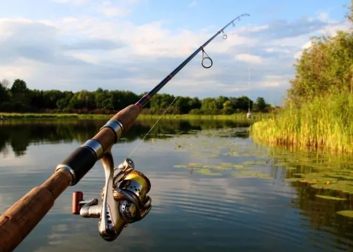 The Dunloe & Gardens 5*