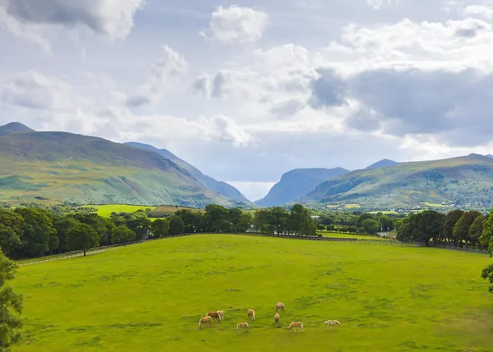 Отель The Dunloe & Gardens Бофорт