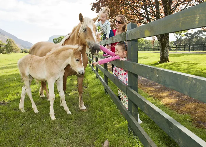 The Dunloe & Gardens 5*